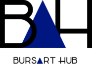 bursarthub.com
